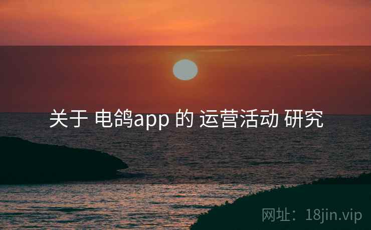关于 电鸽app 的 运营活动 研究 关于 电鸽app 的 运营活动 研究