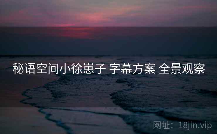 秘语空间小徐崽子 字幕方案 全景观察
