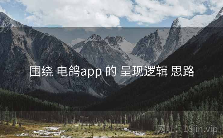 围绕 电鸽app 的 呈现逻辑 思路 围绕 电鸽app 的 呈现逻辑 思路